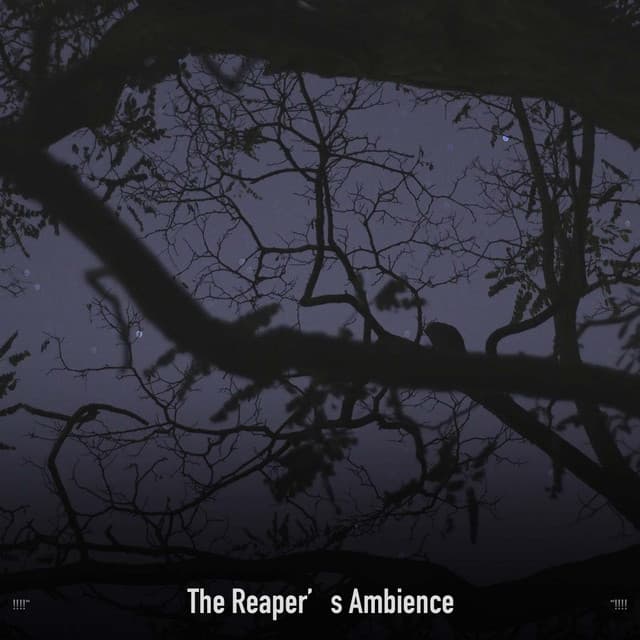 !!!!" The Reaper's Ambience "!!!! - Halloween Music