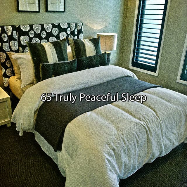 65 Truly Peaceful Sleep - Total Relax Zone