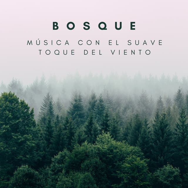 Bosque: Música Con El Suave Toque Del Viento - Ruido Branco