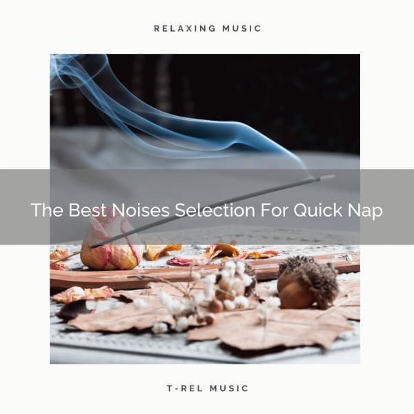 The Best Noises Selection For Quick Nap - Baby White Noise