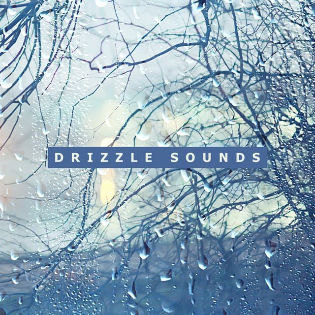 Drizzle Sounds: Relaxing Falling Rain to Deeply Relax and Fall Asleep - Calming Water Consort