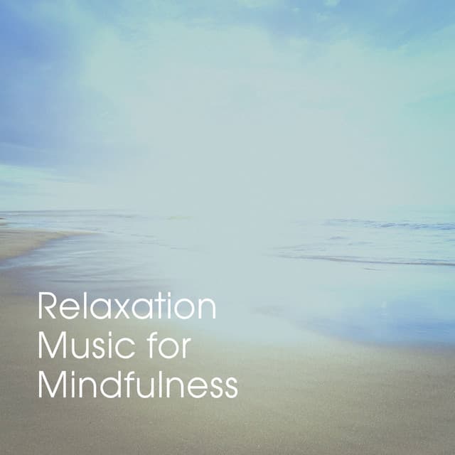 Relaxation Music for Mindfulness - Musique du monde et relaxation