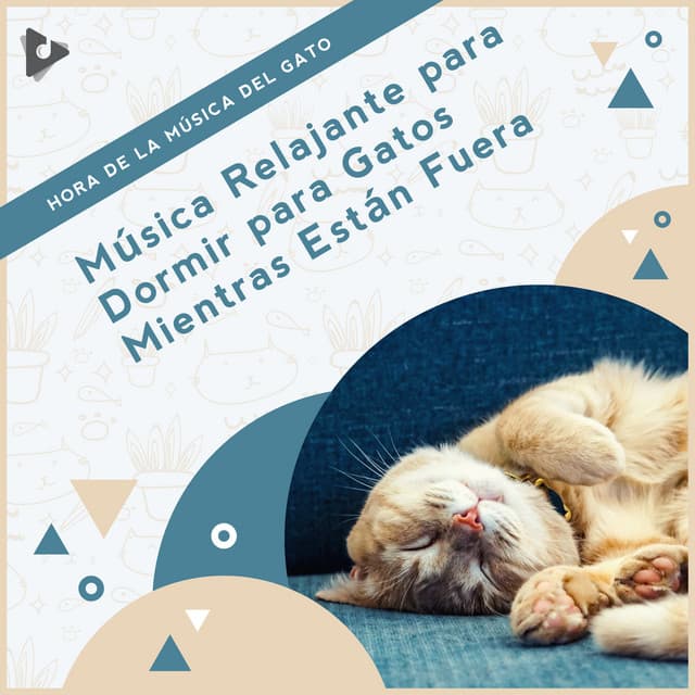 Música Relajante para Dormir para Gatos Mientras Están Fuera - Hora de la Música del Gato