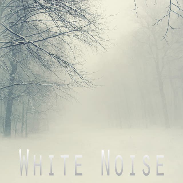 The White Noise