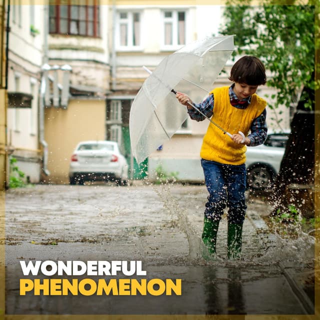 Wonderful Phenomenon - Clear Mind Raining