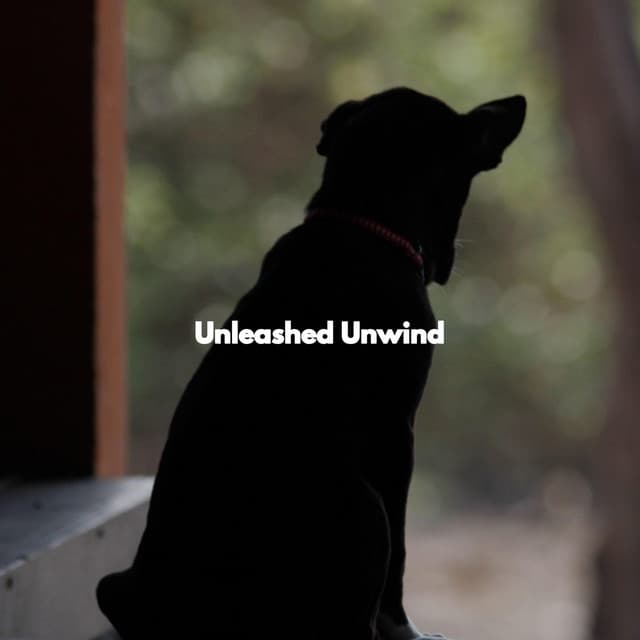 Unleashed Unwind - Jazz Café Bar