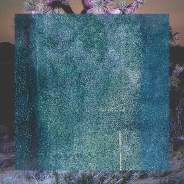 Saplings - Gentle Earth