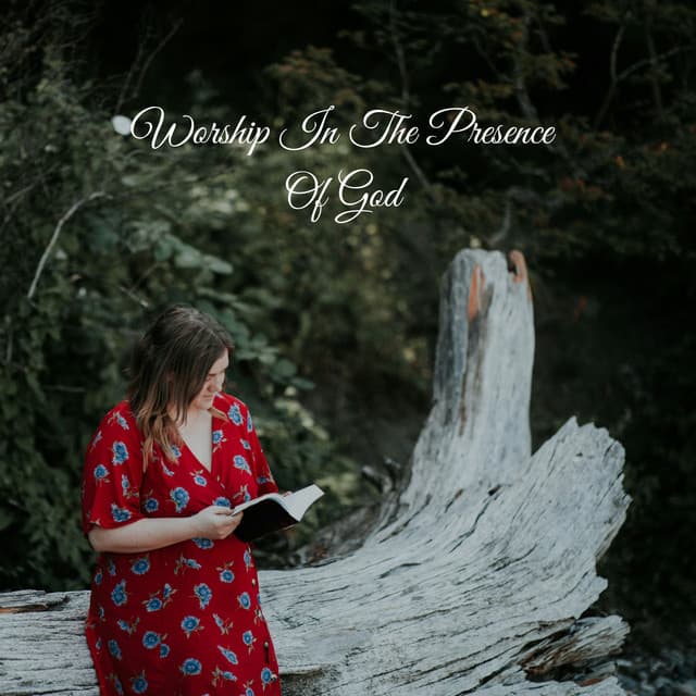 Worship In The Presence Of God - Praise and Worship Orchestra
