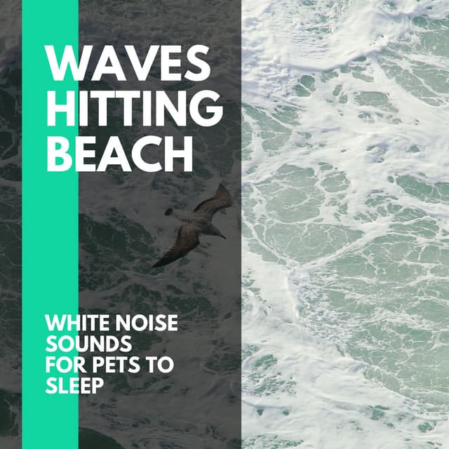 Waves Hitting Beach - White Noise Sounds for Pets to Sleep - Incredible Oceans