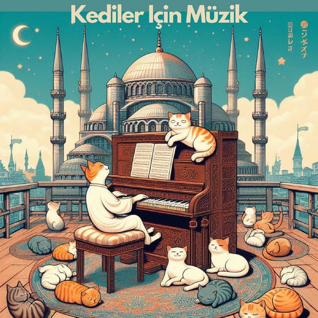 Kediler Için Müzik - Piano for cats