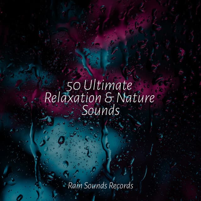 50 Ultimate Relaxation & Nature Sounds - Rain Sound Studio