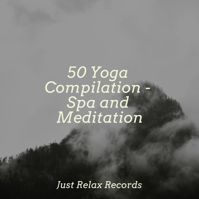 50 Yoga Compilation - Spa and Meditation - Meditation