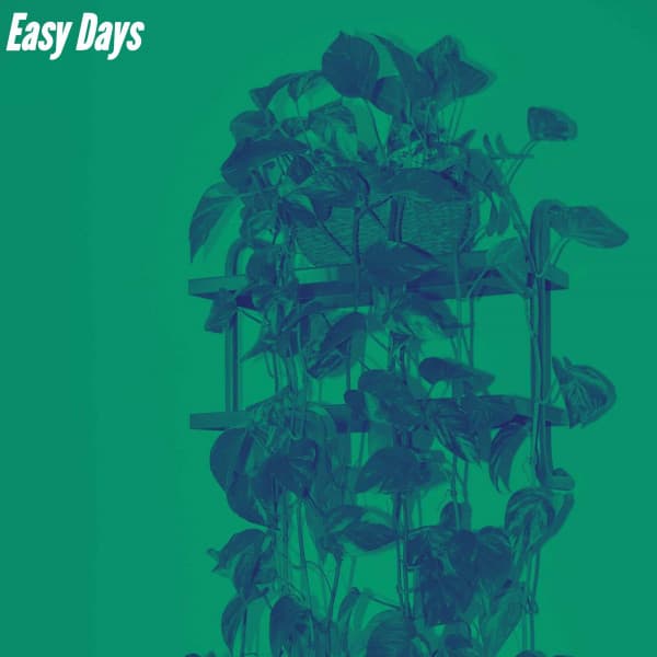 Easy Days - Restaurante Jazz