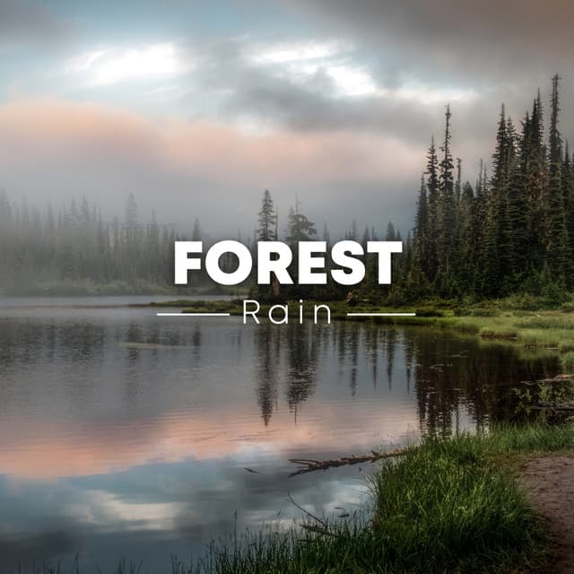 Forest Rain - Sounds for Life
