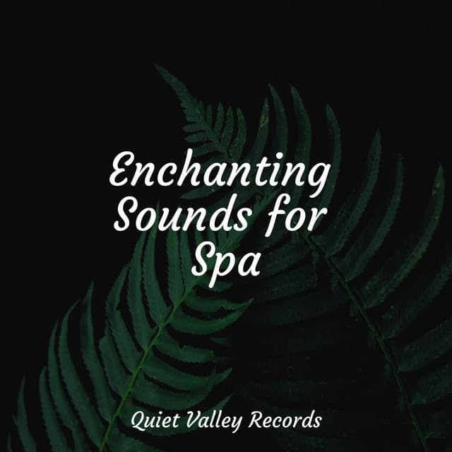 Enchanting Sounds for Spa - Calming Rainforest Sounds