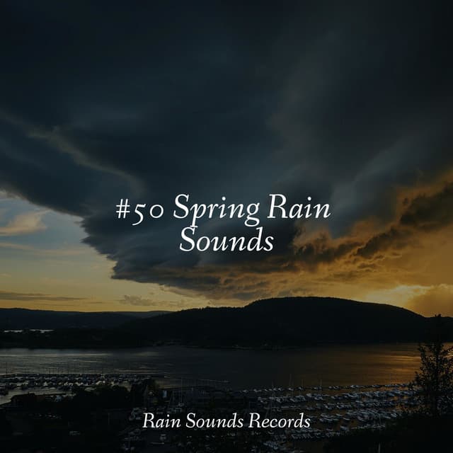 #50 Spring Rain Sounds - Calm Music for Studying
