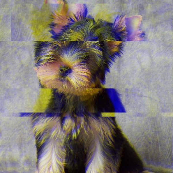 Music for Doggy Luxury - Hot Alto Sax - Calma Música para Perros