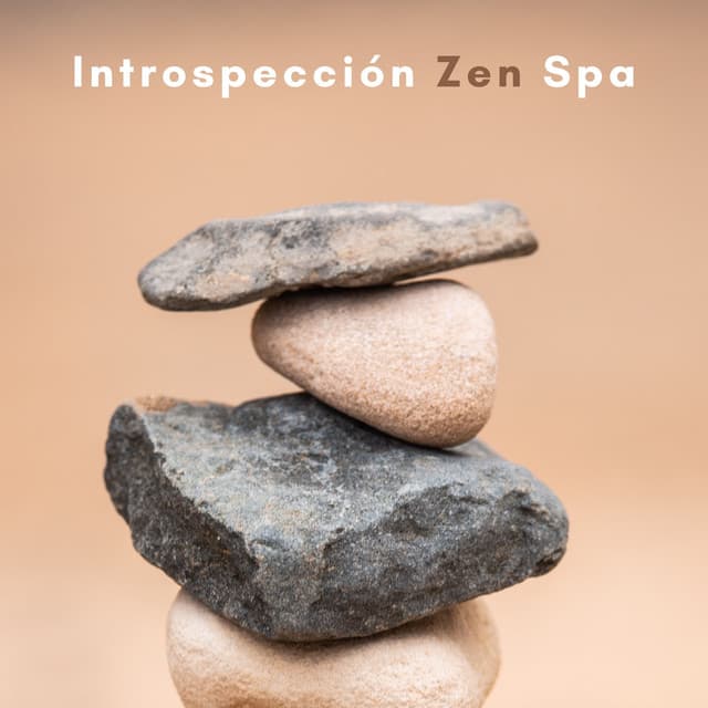Introspección Zen Spa - Academia de Música para Reducir el Estrés