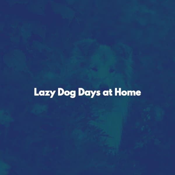 Lazy Dog Days at Home - Feel Good Jazz