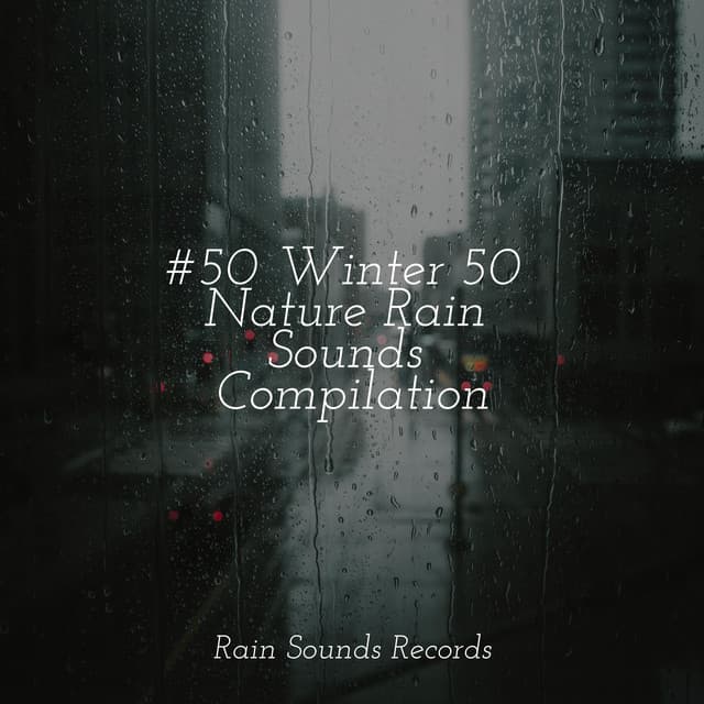 #50 Winter 50 Nature Rain Sounds Compilation - Natureza