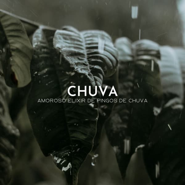 Chuva: Amoroso Elixir De Pingos De Chuva - 1 Hora de Meditação