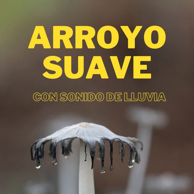 Arroyo Suave Con Sonido De Lluvia - Lluvia para dormir profundamente