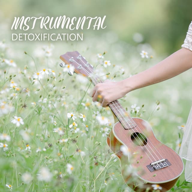 Instrumental Detoxification: Music for Relaxation, Stress Relief, and Emotional Healing - Just Relax Music Universe