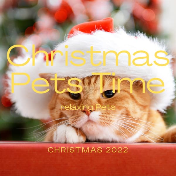 1 Christmas Pets Time - Pets Relax