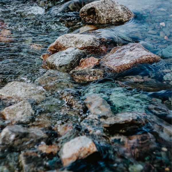 Sounds of Nature: Winter Day Lake Sounds - Nature Sounds ASMR