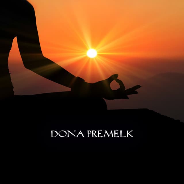 Ascending Beyond Shadows - Dona Premelk