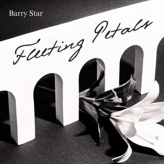 Fleeting Petals: Grace in Structure - Barry Star