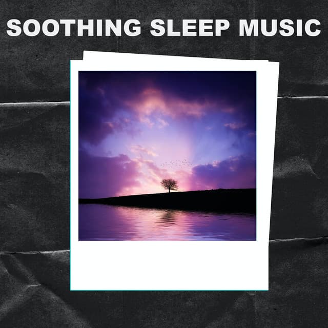 Soothing Sleep Music - Soothing Sleep Music