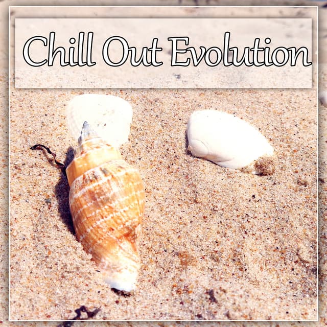 Chill Out Evolution - Ibiza Chillout for Best Party Ever, Lounge Ambient, Summer Time, New York Chillout, Asian Chill Out Music - Evening Chill Out Academy