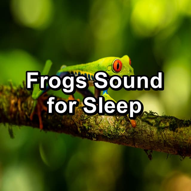 Frogs Sound for Sleep - Organic Nature Sounds