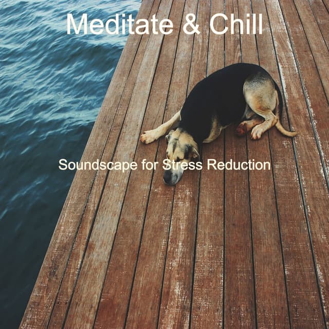 Soundscape for Stress Reduction - Meditate & Chill