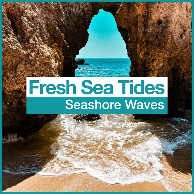 Fresh Sea Tides - Seashore Waves