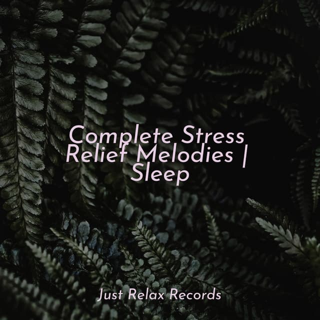 Complete Stress Relief Melodies | Sleep - Schlaflieder Für Kinder