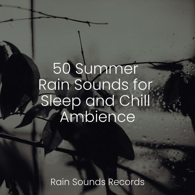 50 Summer Rain Sounds for Sleep and Chill Ambience - Avslappning Sound