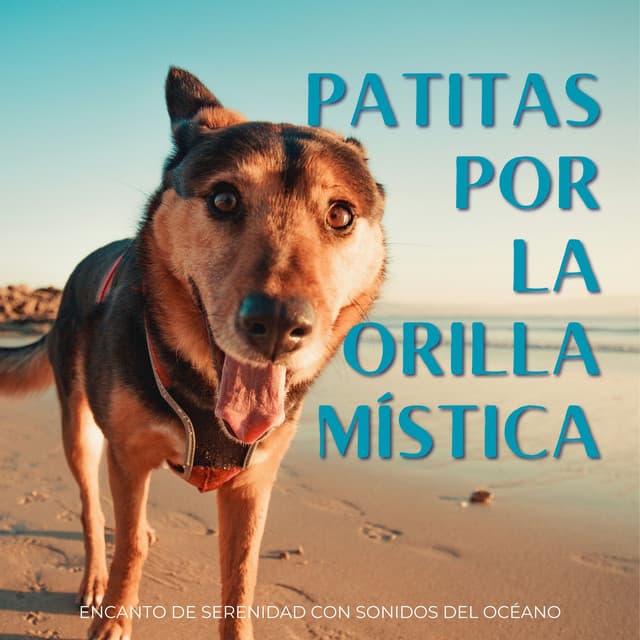 Patitas Por La Orilla Mística: Encanto De Serenidad Con Sonidos Del Océano - Sonidos de la naturaleza Ambi