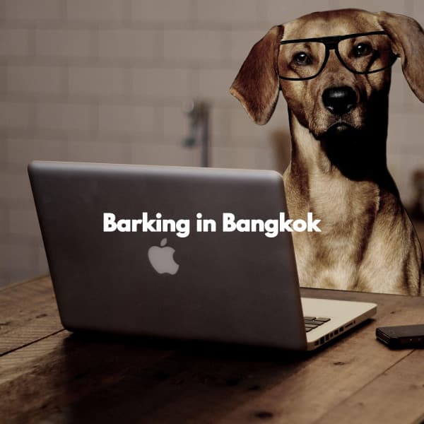 Barking in Bangkok - Jazz and Chill