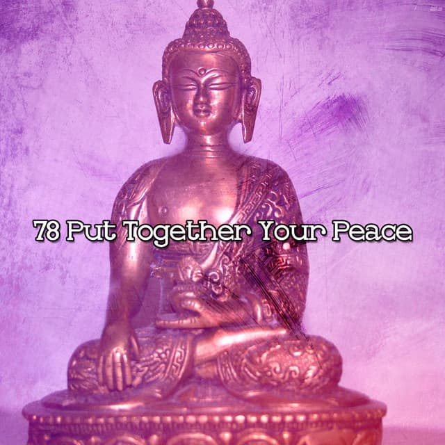 78 Put Together Your Peace - White Noise Meditation