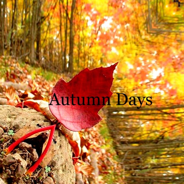 Autumn Days - Lofi Hip-Hop Beats