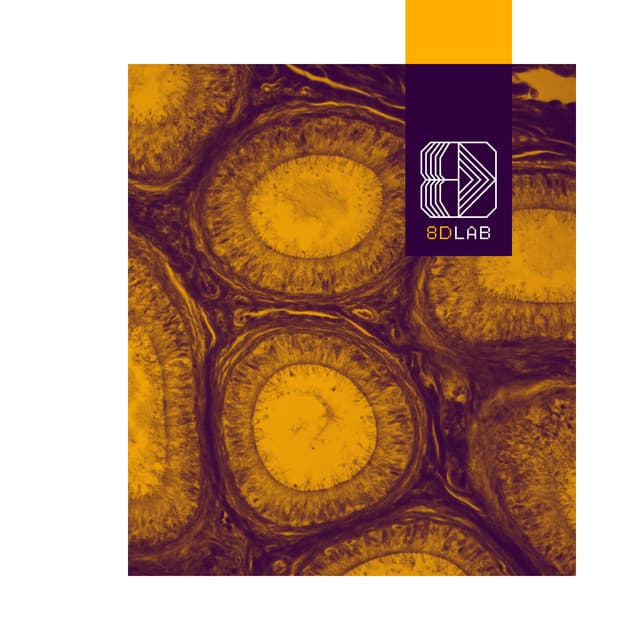 8D Lab - Música de Meditación