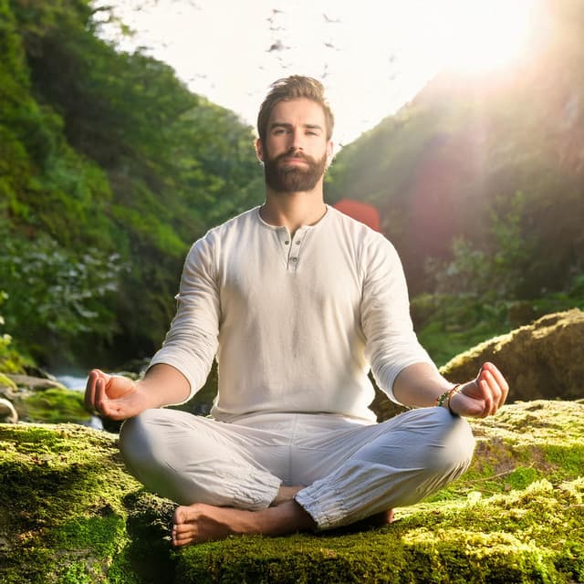 Almas meditativas