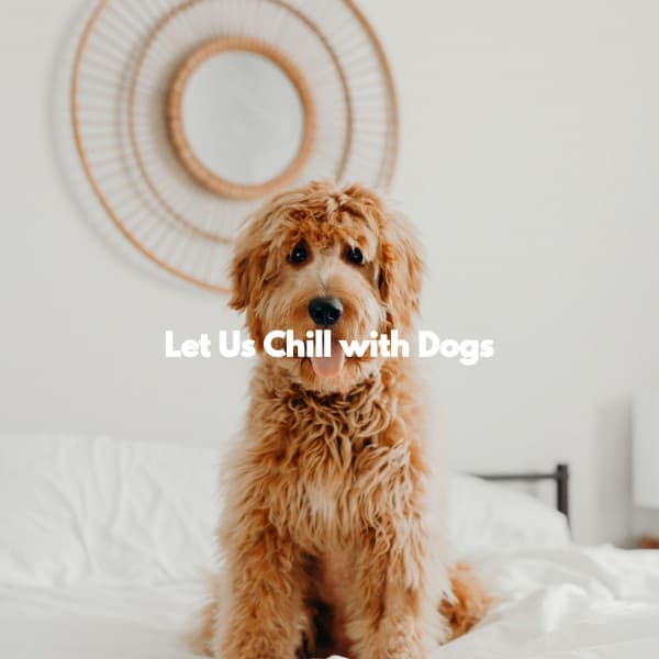 Let Us Chill with Dogs - Hotel Jazz Music