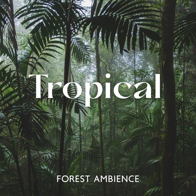 Tropical Forest Ambience: Sounds From Nature - Total Nature Relaxation