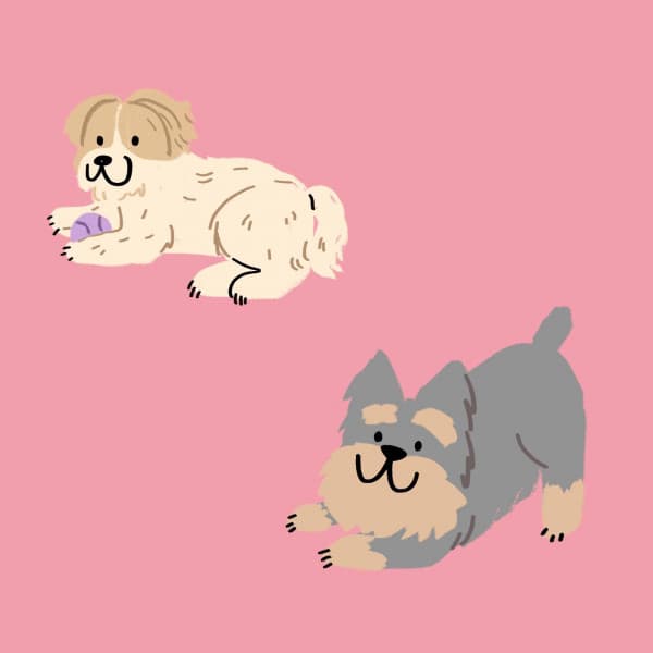 Jazz Organ - Background Music for Wolfy Doggy - Good Dog Music