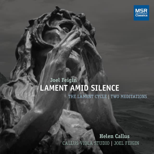 Lament Amid Silence: The Lament Cycle and Meditations - Joel Feigin