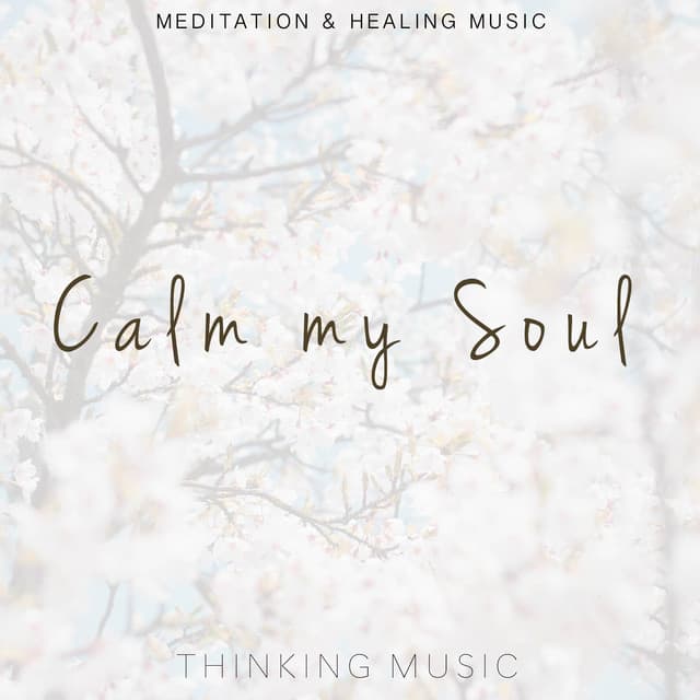 Calm My Soul - Thinking Music