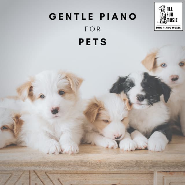 Gentle Piano for Pets - Jingle Cats